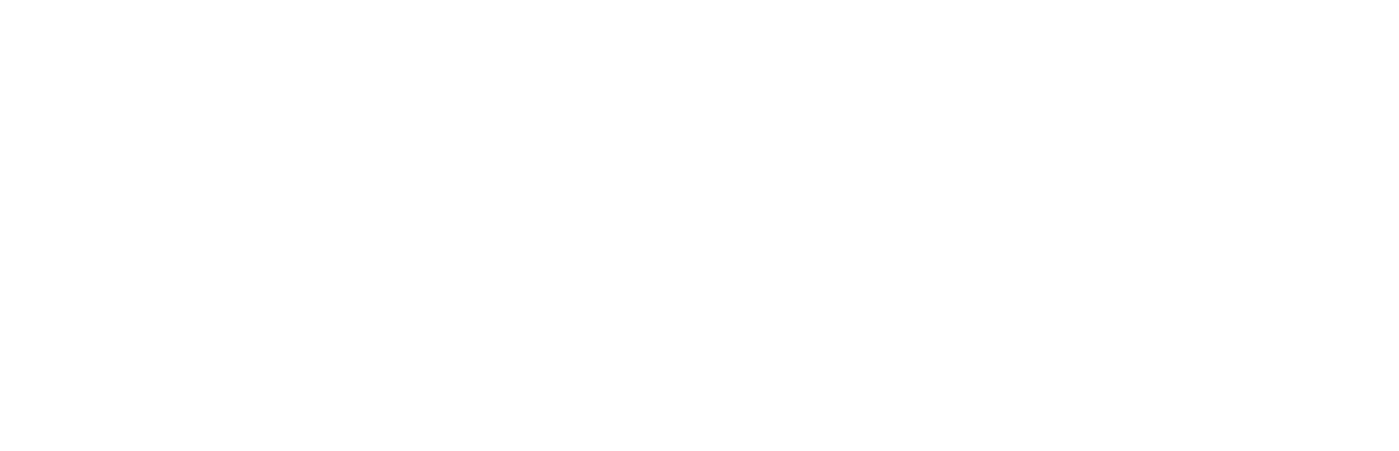 Blue i Group